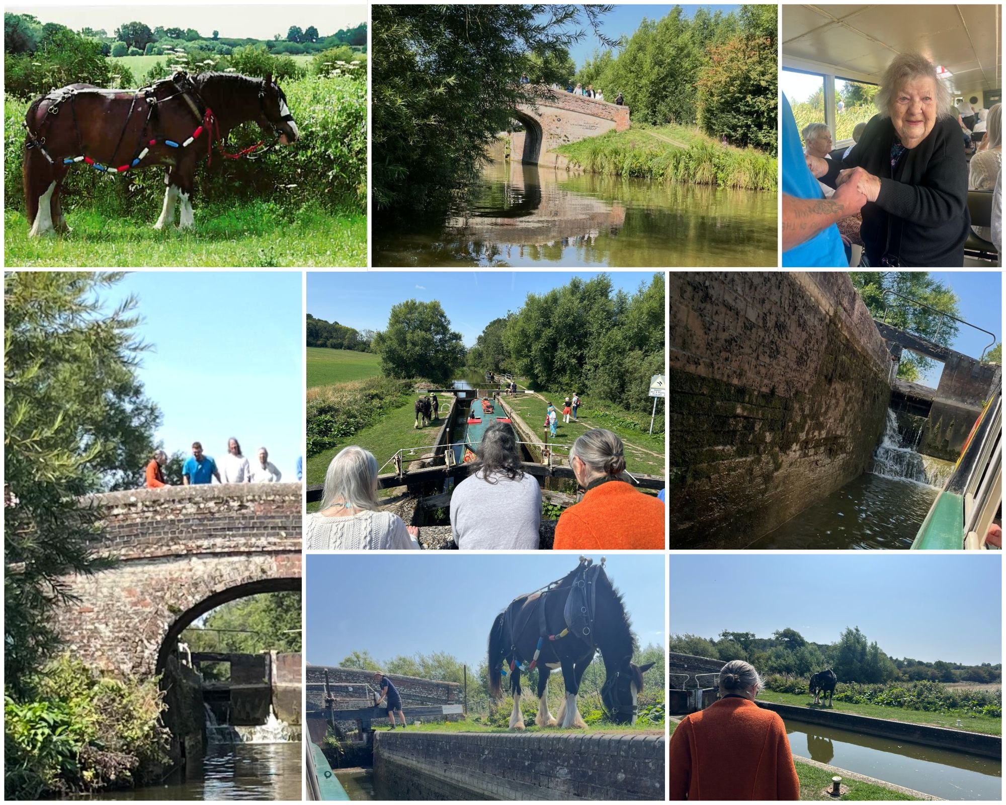 photos showing a scenic canal boat ride with a horse-drawn barge. Images include a brown horse pulling the boat along the towpath, narrow canal locks and bridges, people enjoying the ride, and lush green countryside under a clear blue sky.