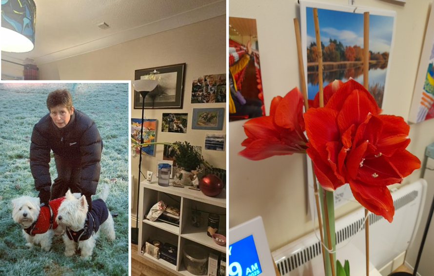 Personalised bedroom in a care home Frome with family photographs, artwork, desk, plants and homely furniture arranged to reflect individual identity and comfort.