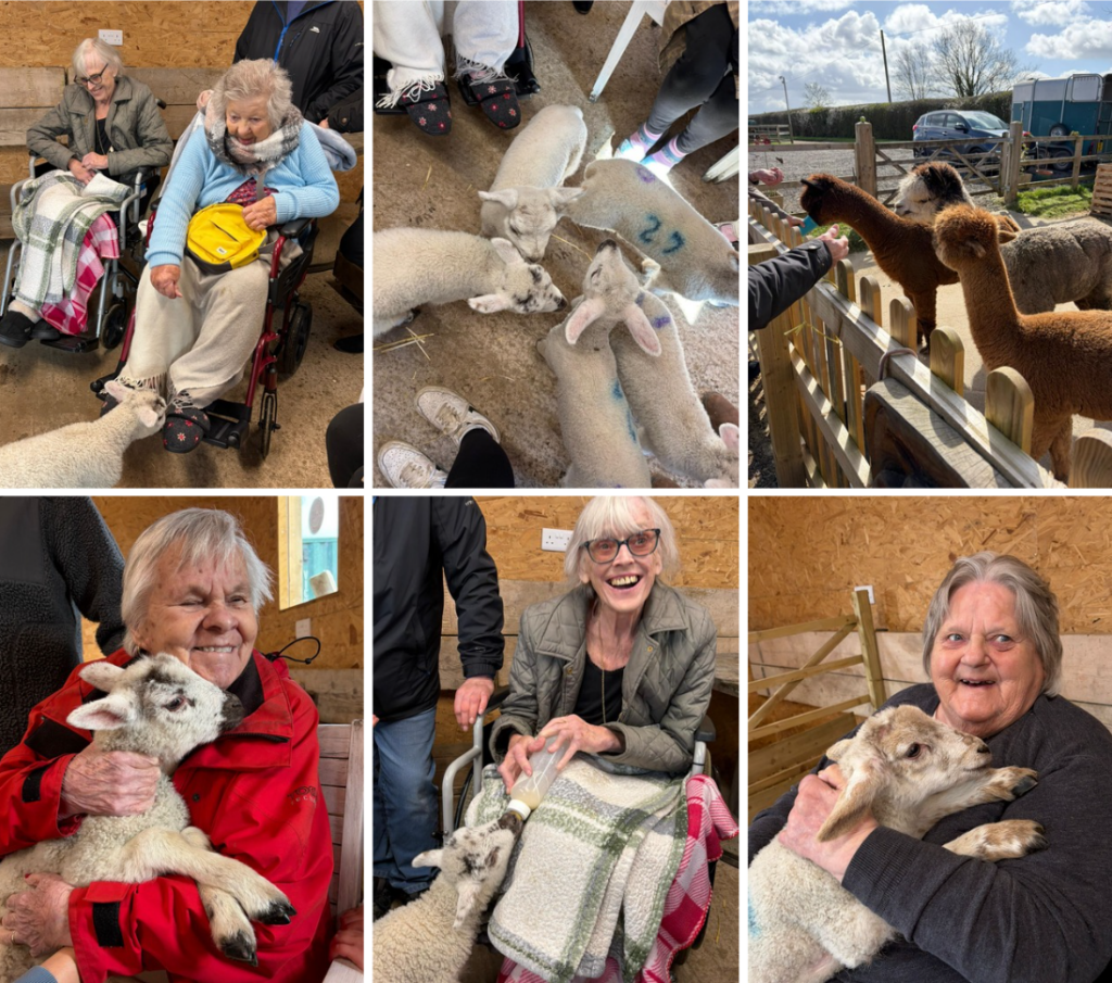 Family members from a Frome, Somerset care home spending time at a local farm, holding and feeding baby lambs, with close-up moments of lambs gathering around feet, being cradled in arms, and animals reaching over the fence in the spring sunshine