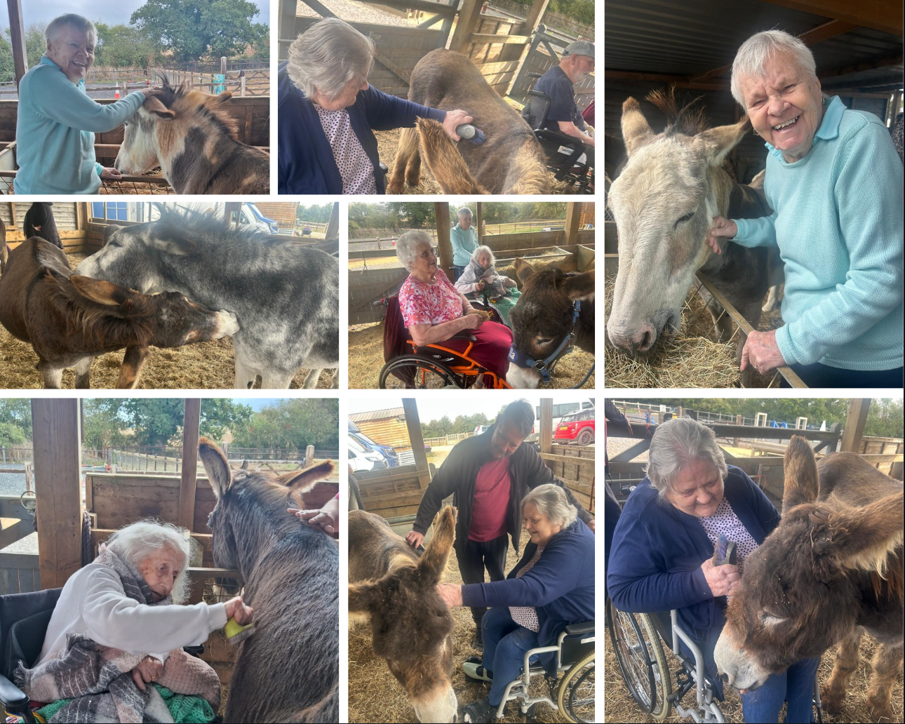 catherine-house-care-home-residents-enjoy-donkey-outing